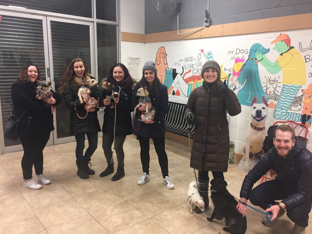 GCIHealth's tweet photo. We volunteered to walk rescue dogs at @BARCanimals to give back &amp; do something different in our community on #NationalPuppyDay #AnimalHealth https://t.co/sSKLvKCDRH