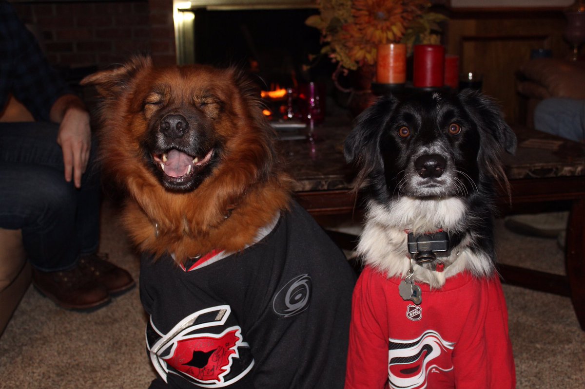 A big thank you to all the Furricanes who made #NationalPuppyDay special and congrats to our winners! #Redvolution https://t.co/nHMwKvcFvu