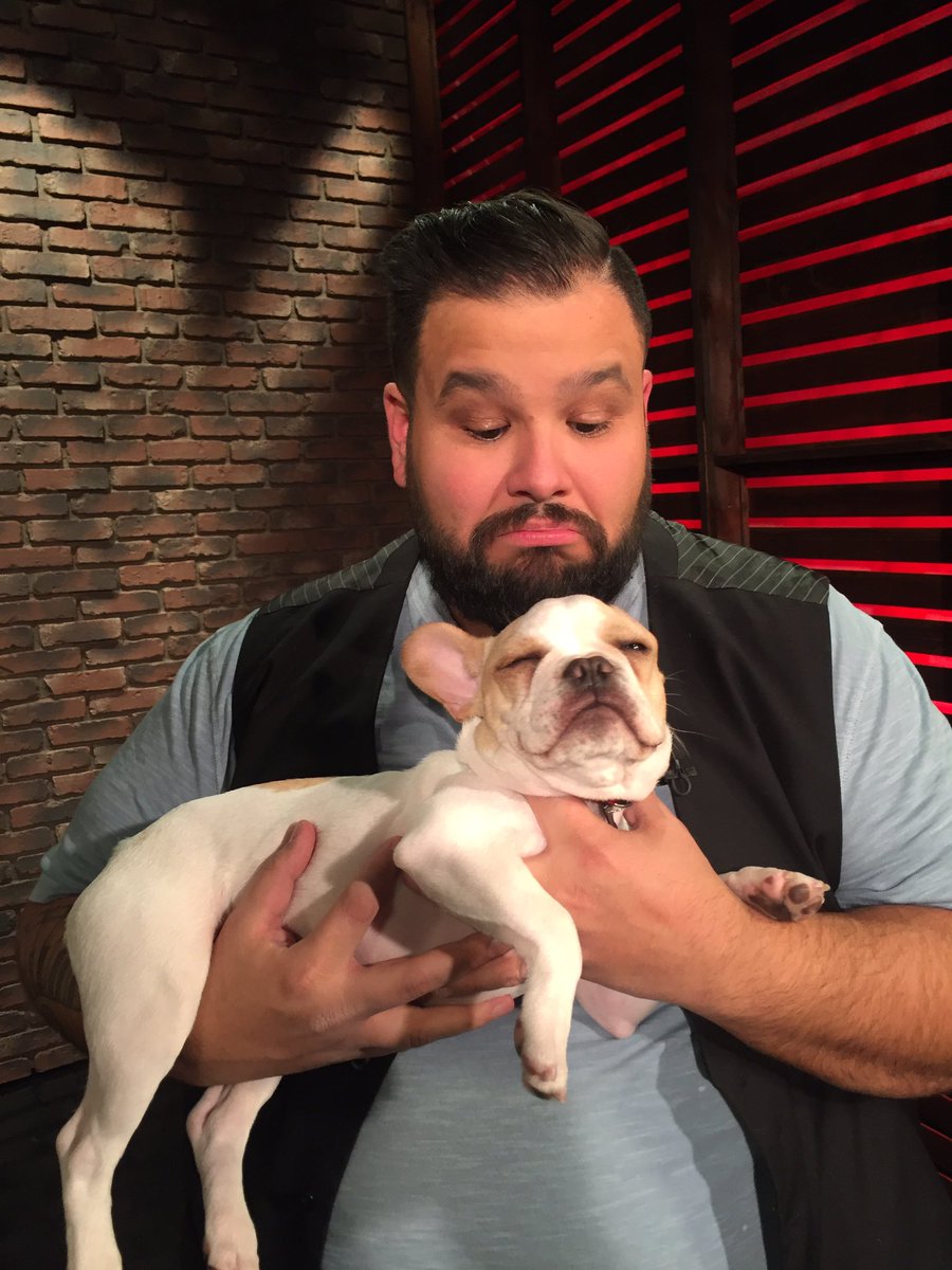 @jeffersonontheu Thanks for tiring out Romo today! #romothefrenchie