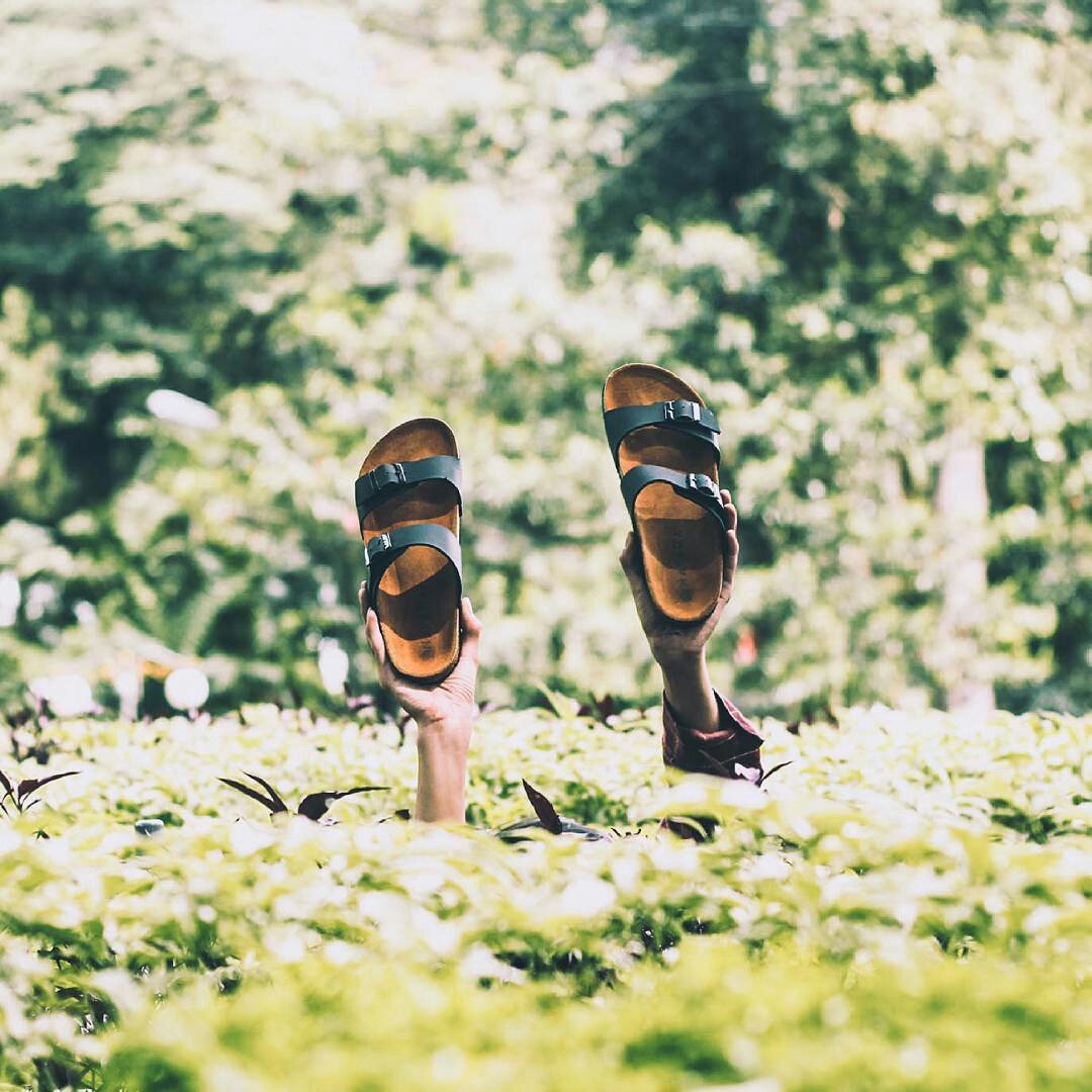 Navara Abel Black | Size: 39-43 | 135k

Order bisa melalui:
BBM/WA/Line/Website
(Silahkan cek di bio)

#indofootwear