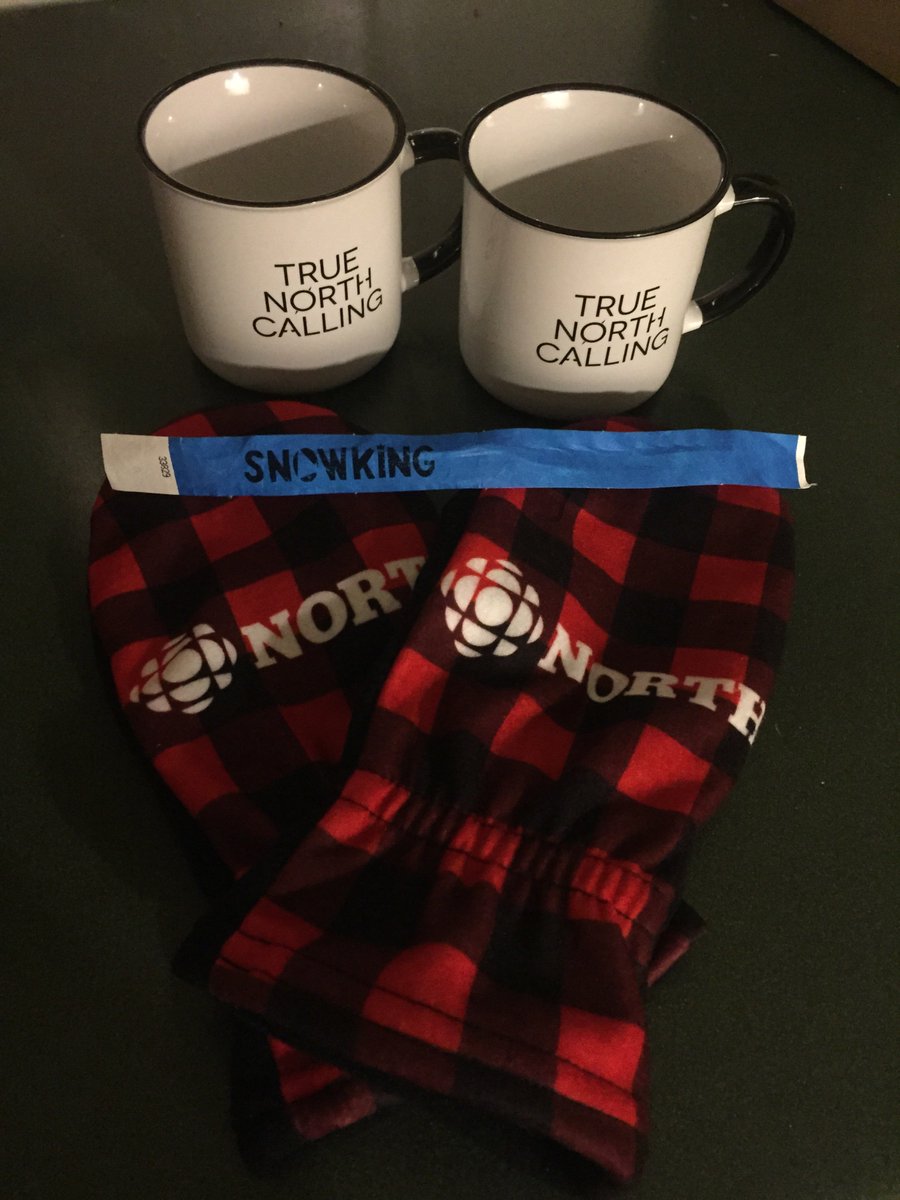 RobynBarnet's tweet photo. #CBCNorth #TrueNorthCalling #Snowking  Thanks again for a great night out in Yellowknife CBC https://t.co/VsZ8H0aeW2
