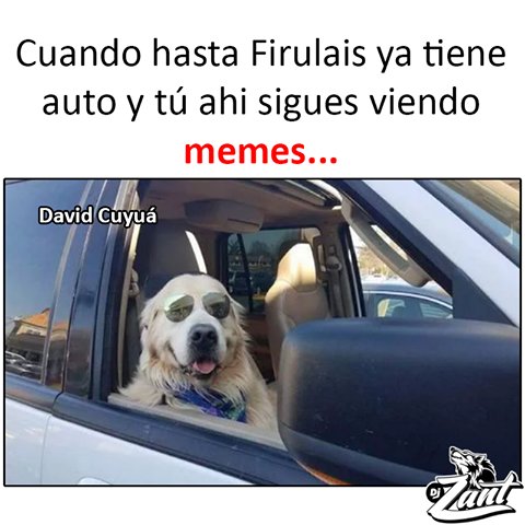Hi_LuDomi's tweet photo. jajajaja ><😂 https://t.co/7mwikAGJw3
