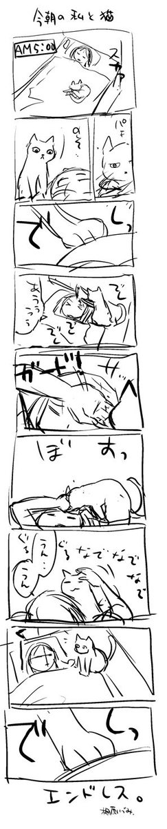 朝は割と猫と格闘しますよね?大体10割負けますけど。 