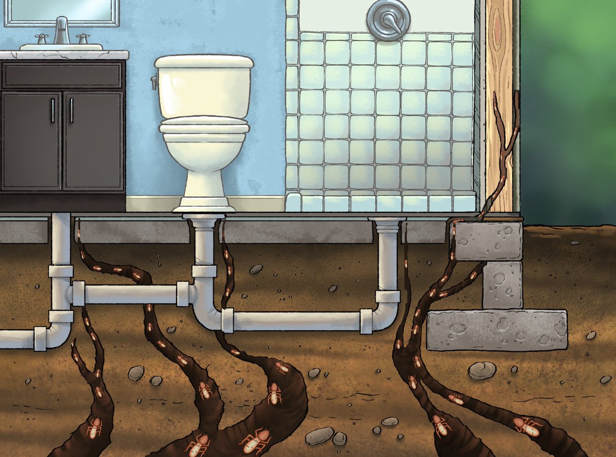TermiteBuster's tweet photo. #Termites can and will access rooms in your home from many different angles! Download #termitebuster today!
https://t.co/FXxLPZofbg https://t.co/IXZqllkGHT