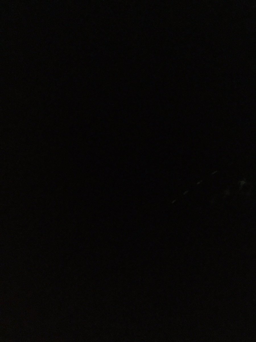 jesthechicken's tweet photo. So as you can see, this picture is dark. That's because I'm laying in bed rn and I can't sleep. #iNeedEntertainment #NationalPuppyDay https://t.co/Bfzd2pWakU