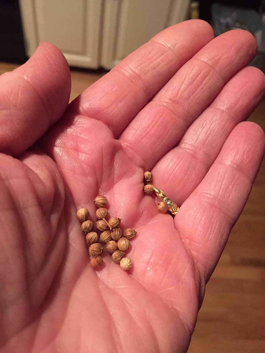 BishopOliveto's tweet photo. #Seeds #AliveNowMag #LentPhoto https://t.co/IXrwrK4YWu