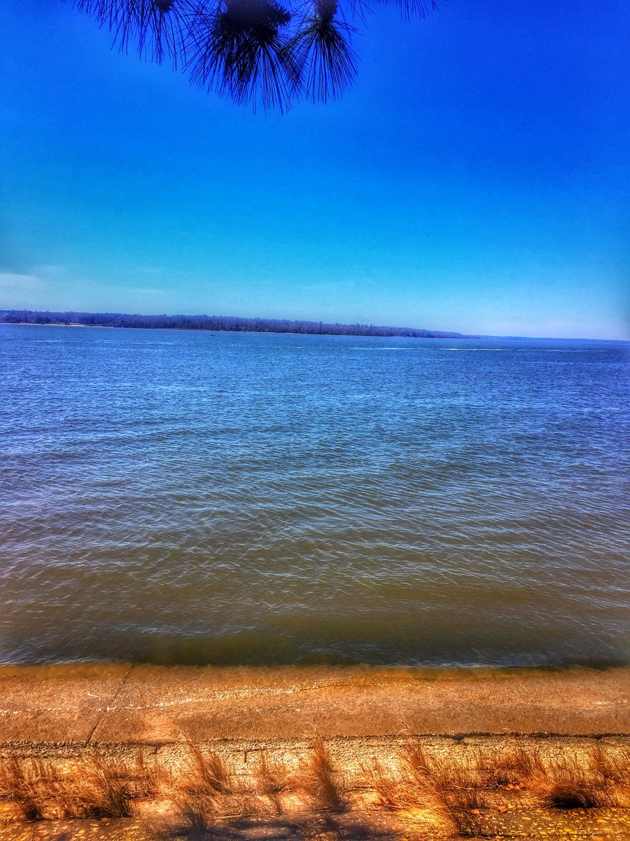 VegetarianMamma's tweet photo. Today we visited the #JamestownSettlement it was amazing... learned so much! #WorthIt #gfspringbreak #glutenfreetravel #travelblogger https://t.co/H6uS020woq