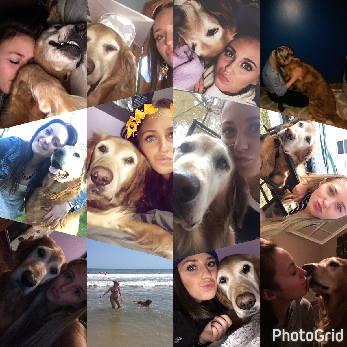 kaylynxx's tweet photo. clearly overly obsessed with my baby 😭😍❤️🤷🏻‍♀️ #NationalPuppyDay #notapuppy https://t.co/vpRkoHuddX