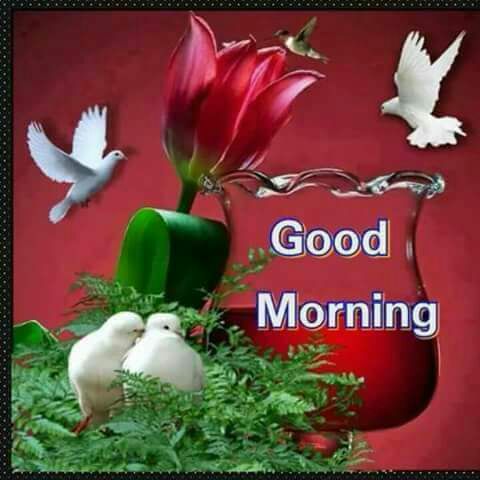 PavitterI's tweet photo. @Gurmeetramrahim 
#RevolutionaryHKNKJ https://t.co/StYDLn67rD