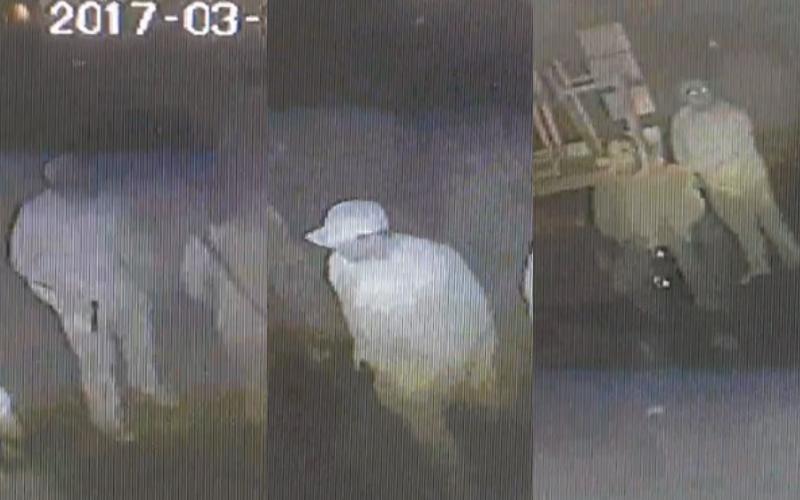 Noticaribe's tweet photo. Prevalecen contradicciones tras presunta incursión de comando armado en pizzería; vacío informativo de autoridades https://t.co/eRrargVAsd https://t.co/8kpAFgRy3T