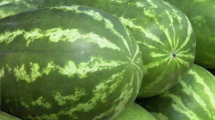 $27,000 melons? Unwrapping the high price of Japan's luxury fruit habit bit.ly/2nti1tS https://t.co/as4dpzNnnE