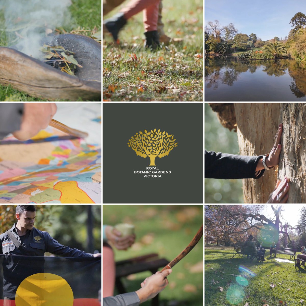 ElectricStreet's tweet photo. Australian Heritage Walk #virtualtour for @RBG_Victoria produced by @ElectricStreet. @visitvictoria #nature #melbourne #electricstreet https://t.co/YCE4qp44up