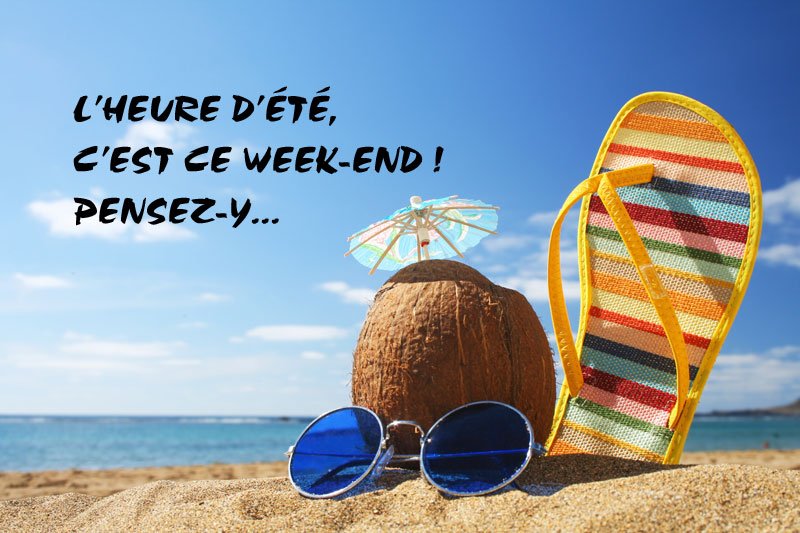 NAYA CLUB tweet media