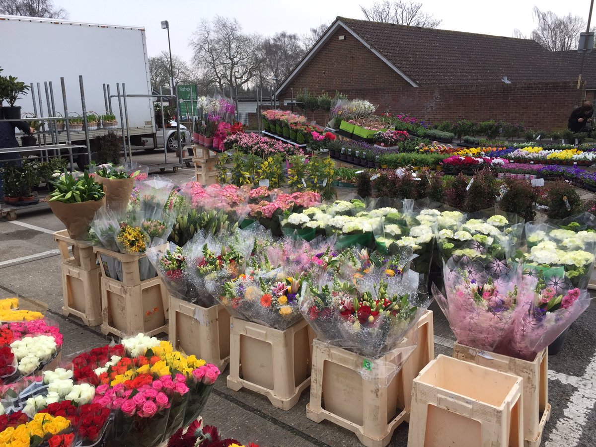 TenterdenMarket's tweet photo. Great morning in the #market square #Tenterden, beautiful flowers &amp; plants, delicious fish, amazing variety of fruit &amp; veg, cheeses, bread.. https://t.co/fupRVKuEtc
