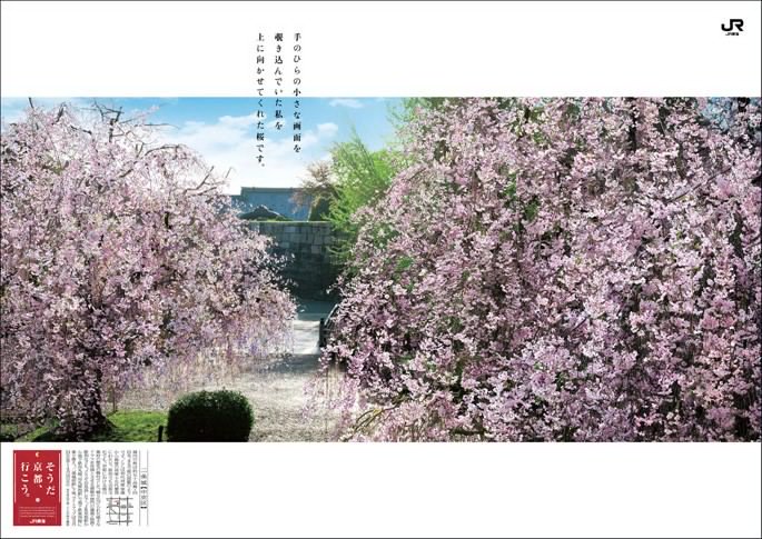 Guide4Planet's tweet image. JR Tokai
そうだ 京都、行こう。(JR東海) @souda_kyouto( That's right Kyoto, let's go. JR Tokai )