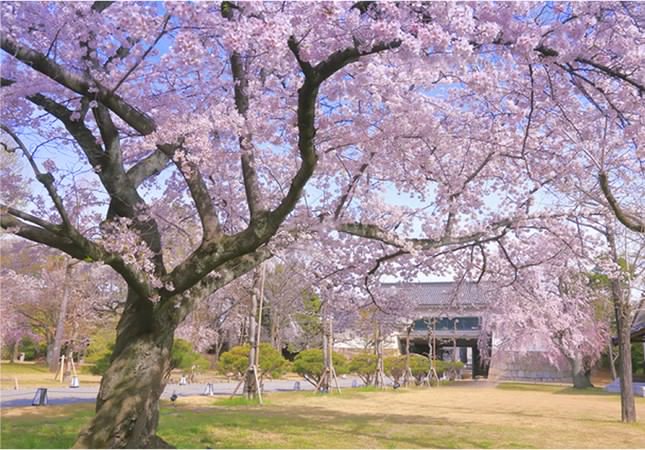 Guide4Planet's tweet image. JR Tokai
そうだ 京都、行こう。(JR東海) @souda_kyouto( That's right Kyoto, let's go. JR Tokai )