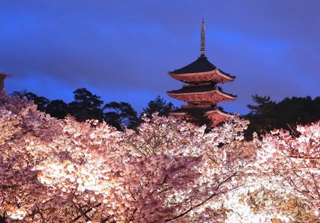 Guide4Planet's tweet image. JR Tokai
そうだ 京都、行こう。(JR東海) @souda_kyouto( That's right Kyoto, let's go. JR Tokai )