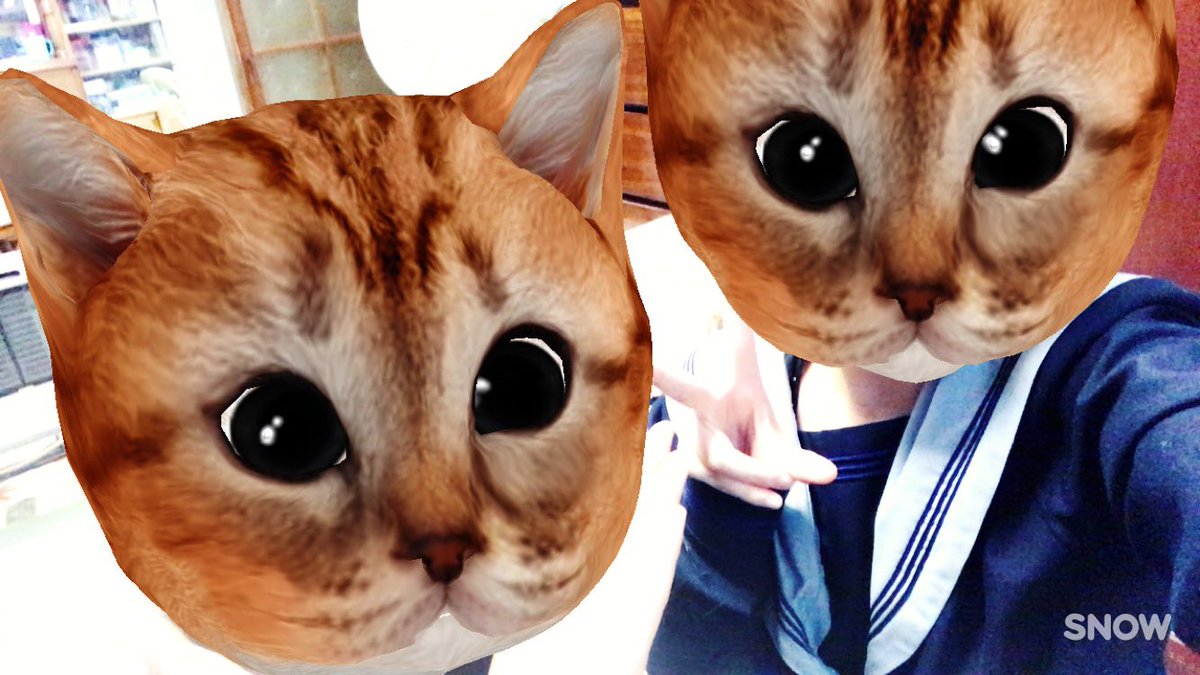 makaokareee's tweet photo. ふぉーーー

もーすぐぶかつだぜぇぇぇ https://t.co/SpExxHTplx