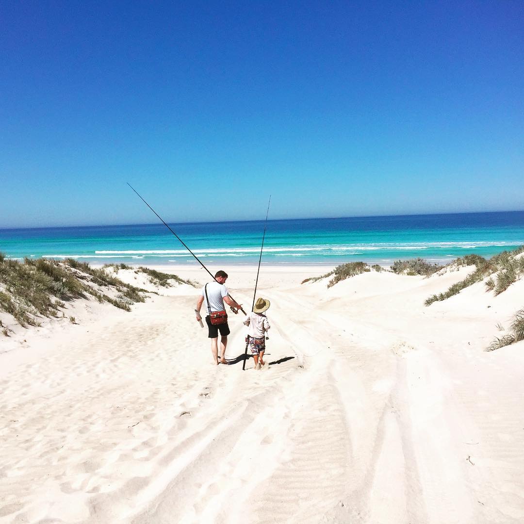 South Australia tweet media