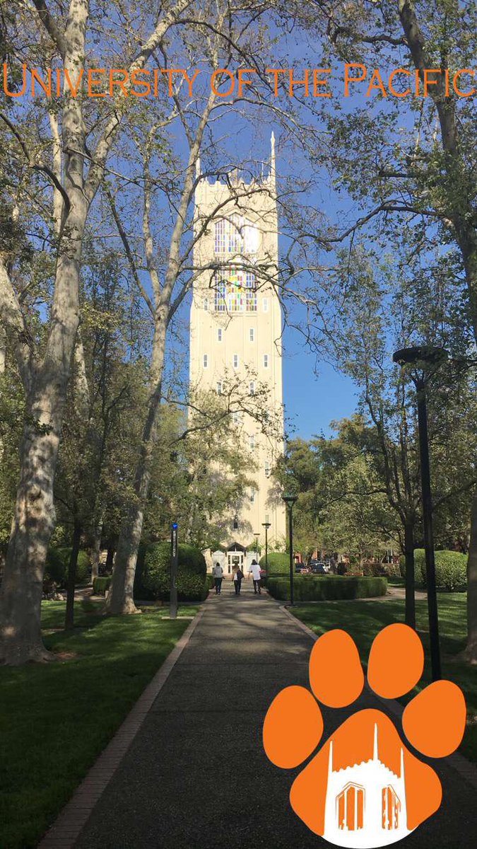sirahhh_'s tweet photo. Day four #juniortrip 🌲🍂🍃🥚❤️ https://t.co/m9EwY1avx6