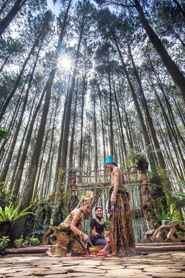 YogyakartaCity's tweet photo. yuk yang :) <3
Upacara Pernikahan adat YOGYAKARTA di Hutan Pinus Mangunan, Dlingo, Bantul

JOGJA foto by Eko Gunadi (fb) https://t.co/zi57pC4eoY