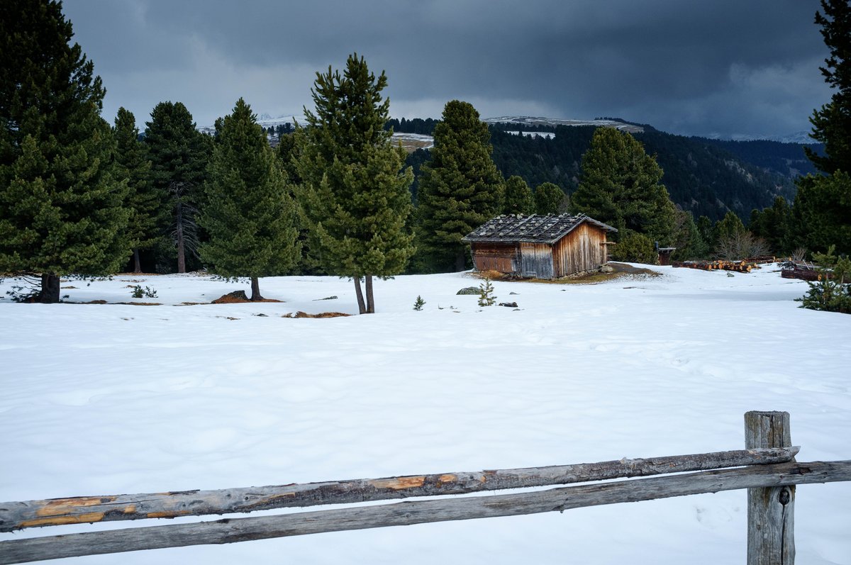 erling's tweet image. Sull'alpe di Villandro