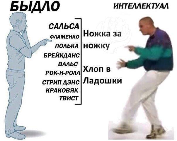значение слова быдлячество. демотиватор агрессия. значение слова быдлячество. слово быдло-что означает слово. вальс шутка.