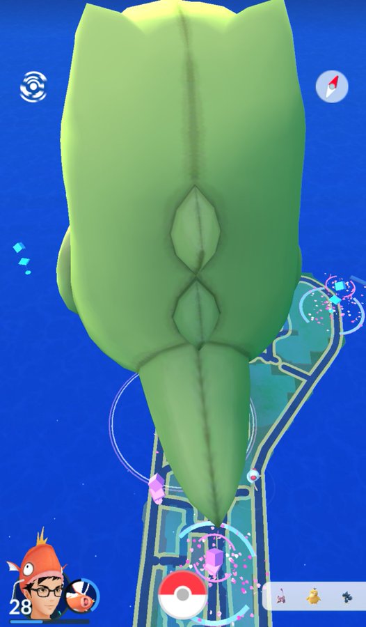 ポケモンgo ポケモンgoのチラシの裏