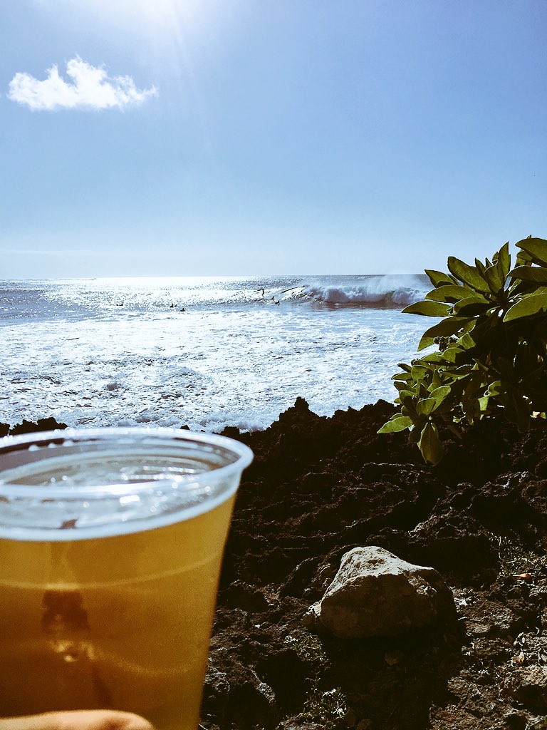 Paulhughesgee's tweet photo. Turtle Bay. #longboat #beer #surfers #sea #earnedbeer #oahu #turtlebay https://t.co/sf3WQTWByc