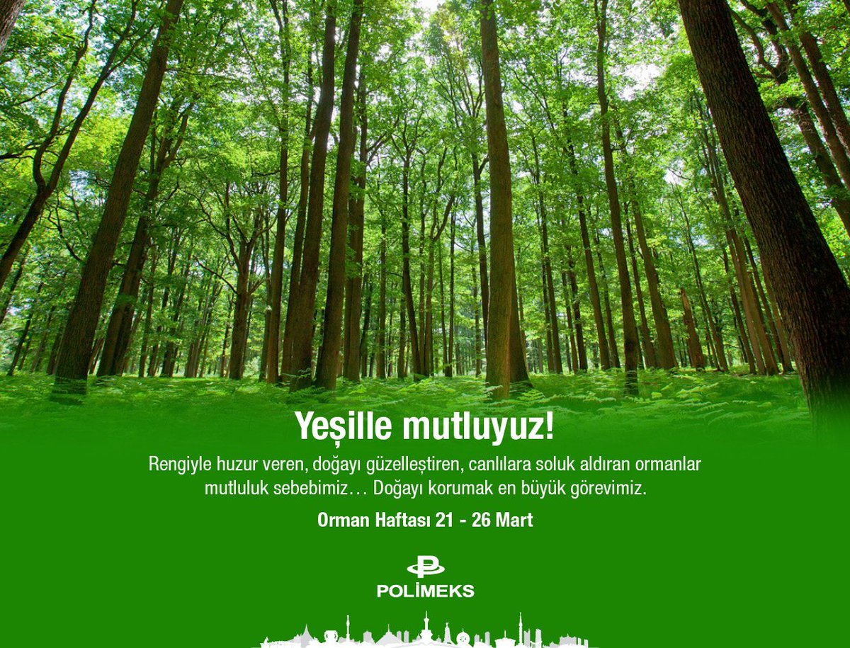 Polimeks (@polimeks) on Twitter photo 