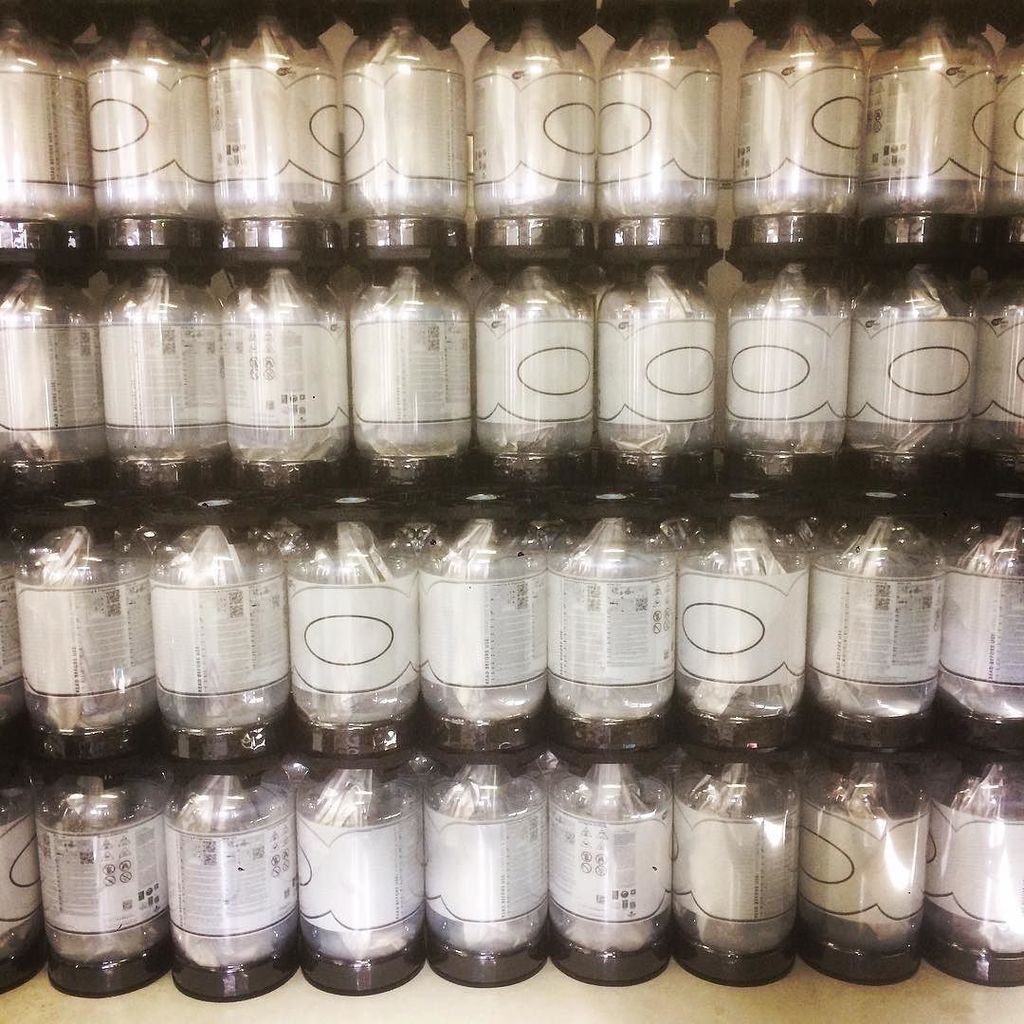 matejpelicon's tweet photo. Danes se spet tradicionalno polni tedensko zalogo #3rdpill #ipa. Točen #Pelicon ni nikoli … https://t.co/yZZfR42uYF https://t.co/2EpLm2iCvM