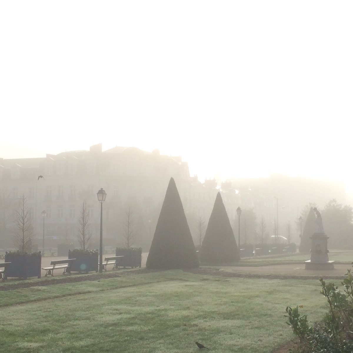 boccadileone49's tweet photo. Jolie brume matinale sur le #jardin du Mail qui annonce un #dredy au soleil à #Angers... 😊☀️ [le #dredy au soleil 🎶 #lalala 💃🏻] https://t.co/tDExHUvbgI
