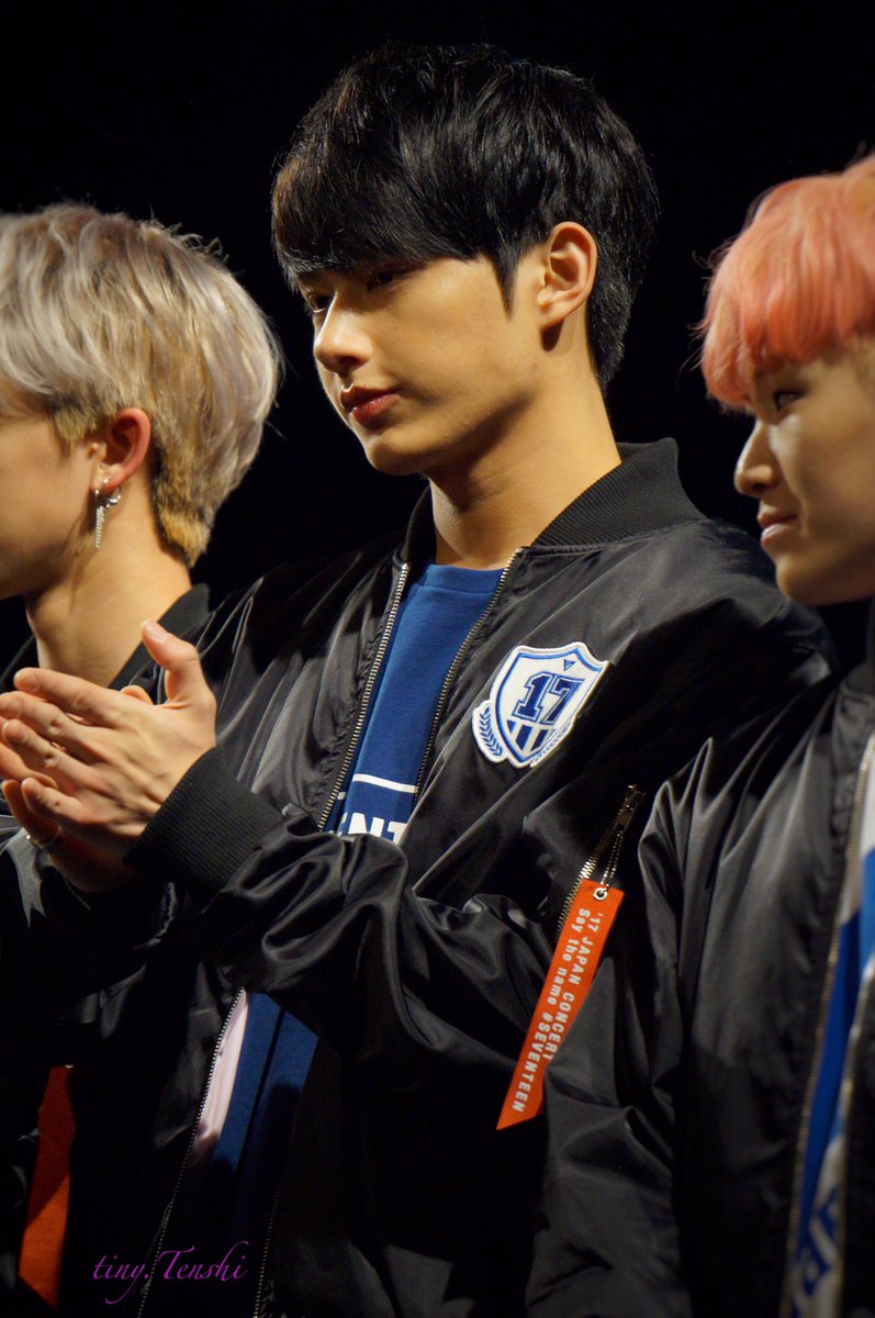 unbleached junhui (@junhuimelanin) on Twitter photo 