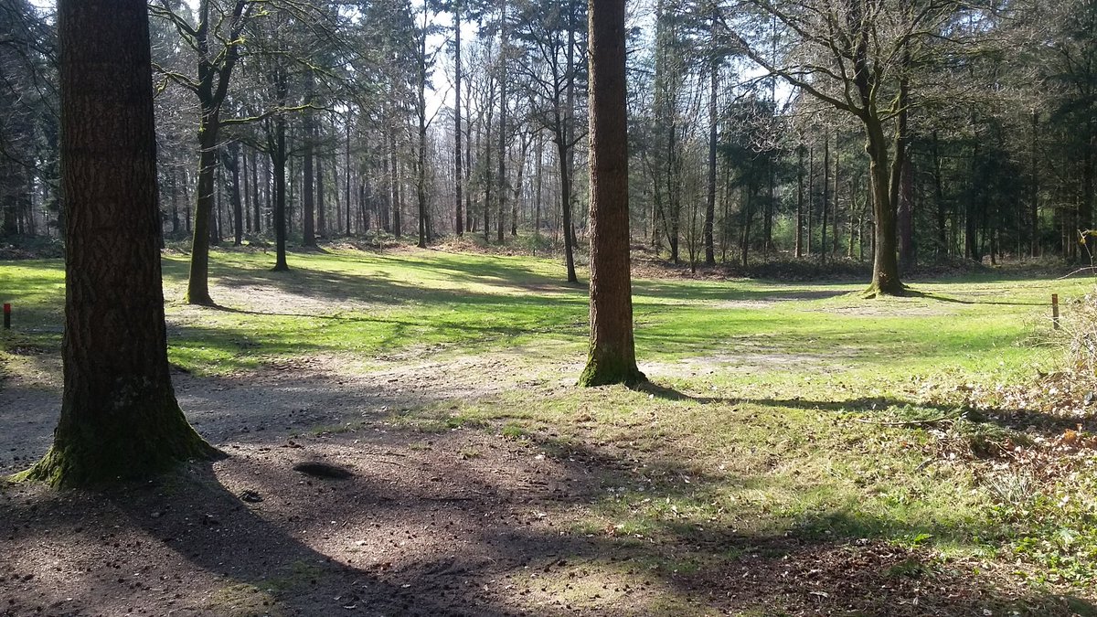 #natuurkamperen bij staatsbosbeheer. Vanaf 30 mrt is ons terrein in het groesbeeksebos weer open met op 200 mtr een groot avonturenbos!