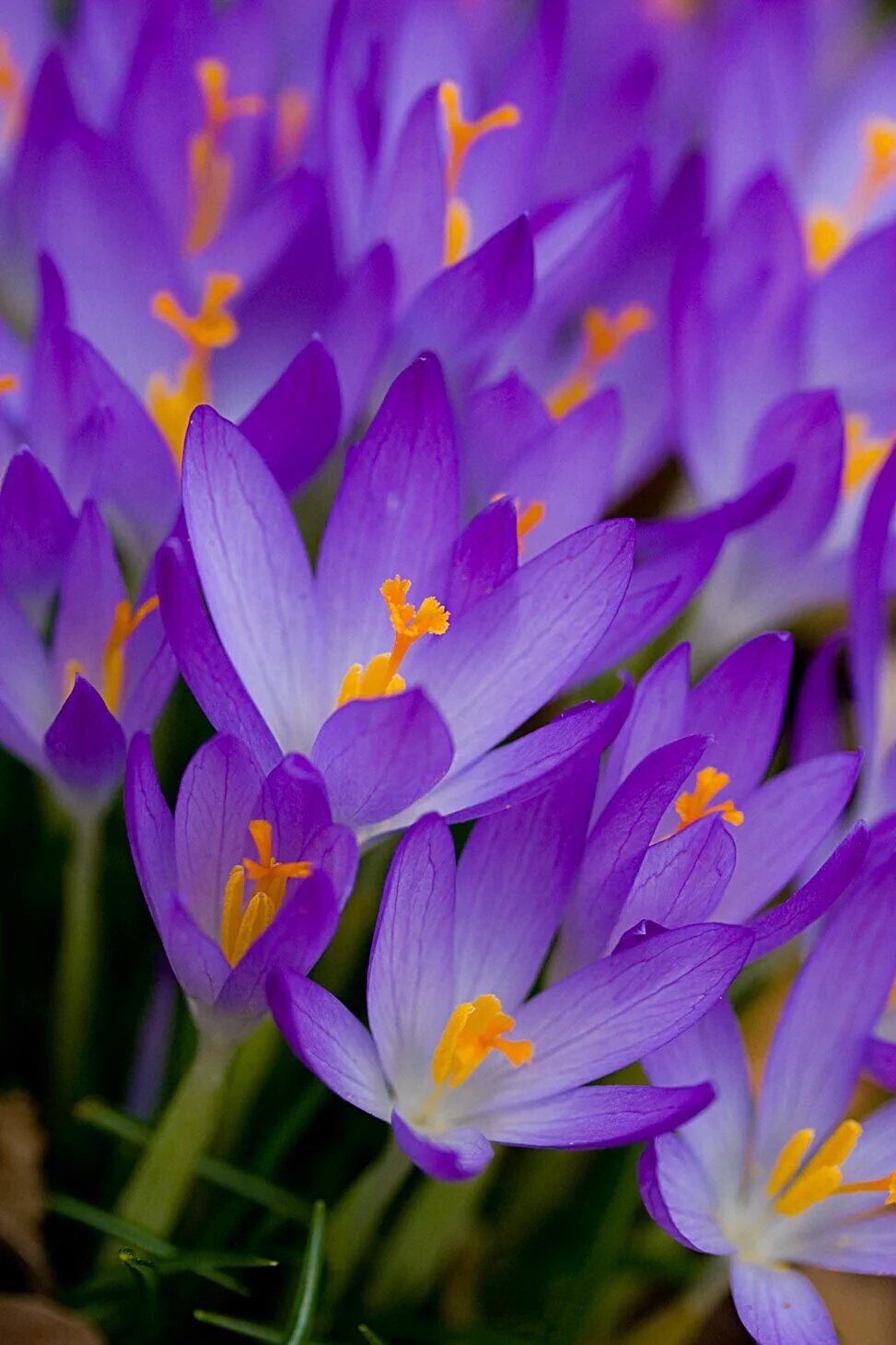 C7r2rGhVMAAKiXd.jpg:large