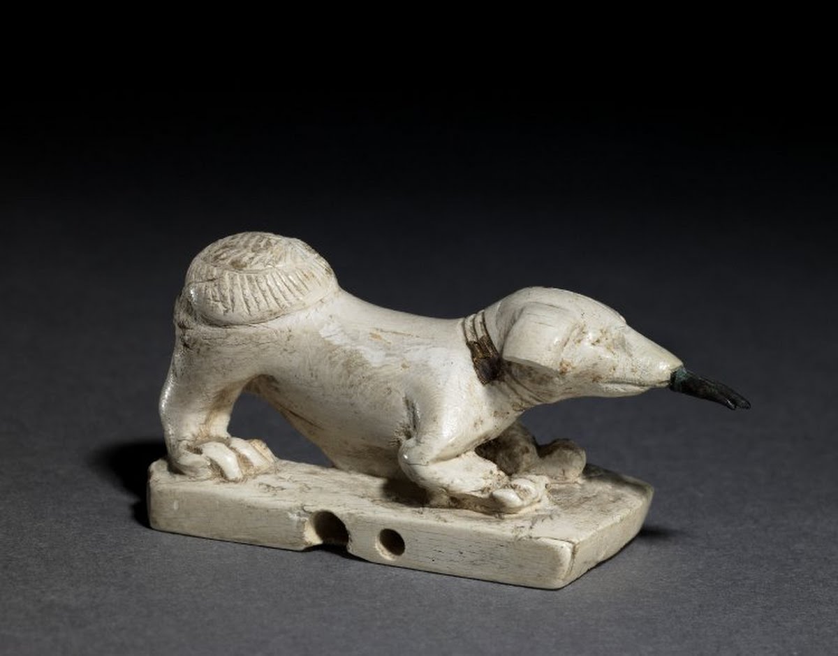 whencyclopedia's tweet photo. Egyptian Ivory Dog - https://t.co/fBvcfuKgx8 https://t.co/MRbvIol8nn