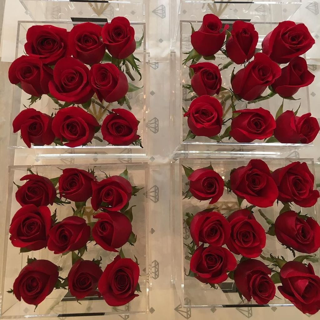 Flowers_stgo's tweet photo. Viernes... ❤️🌹 @flowers_and_more_santiago #flowers #roses #rosas #amor #flores #regalodefl… https://t.co/XKzARbCBnT https://t.co/QmiAIDkLo4