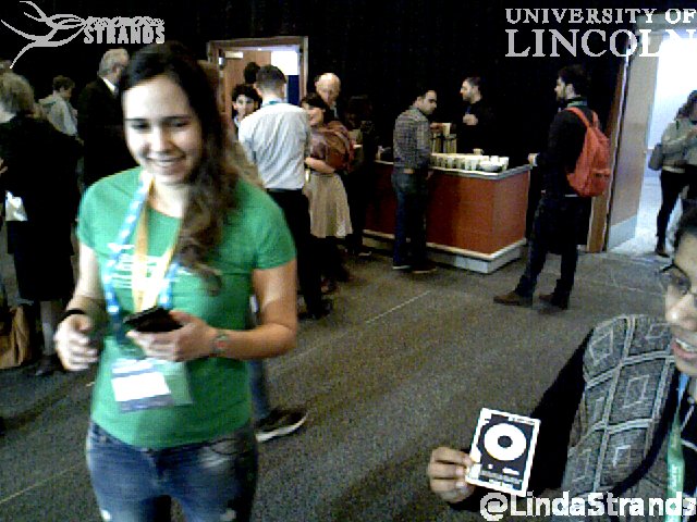 Linda Strands tweet media