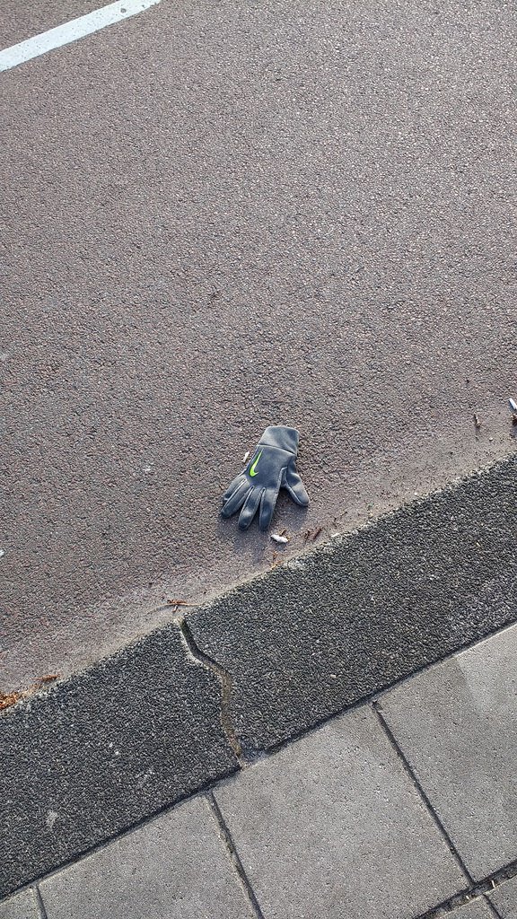 nestpasbart's tweet image. March 24, 2017 at 09:19AM Found a fresh one! #lostfound flic.kr/p/RWjBZs