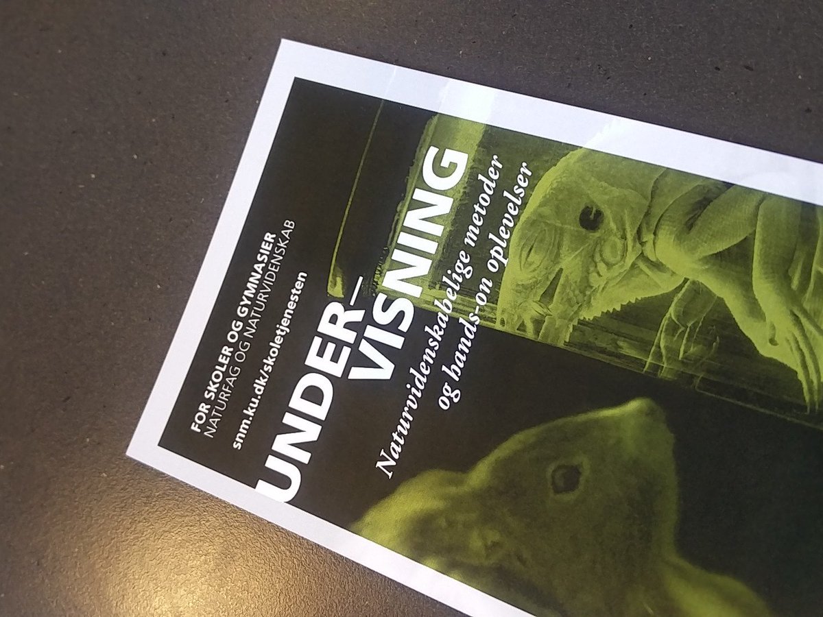 MarianneAchiam's tweet photo. Hvilke spørgsmål giver genstande anledning til? Svendborg LIGE NU #genstande #naturvidenskab #undervisning #bbdk17 https://t.co/LLC2mnlr1a