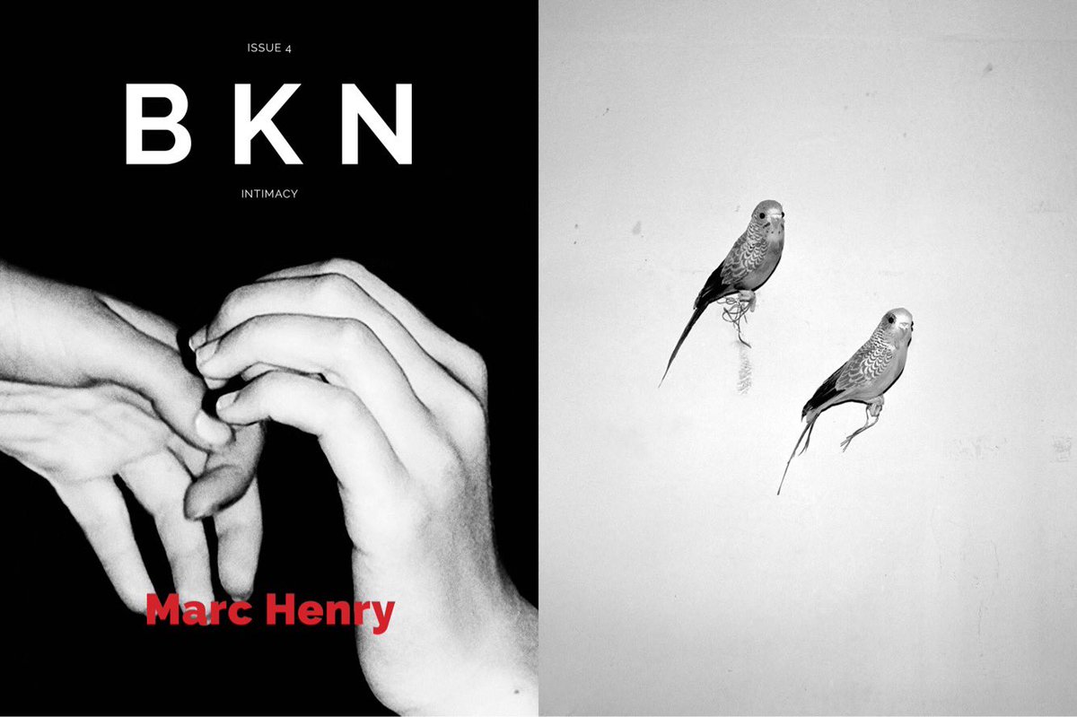 bknmagazine's tweet photo. You can now pre-order your copy of BKN Magazine Issue 4 : Intimacy 

https://t.co/ltWVXWbrzh

Cover © Berangere Fromont https://t.co/LYTaGHhJwA