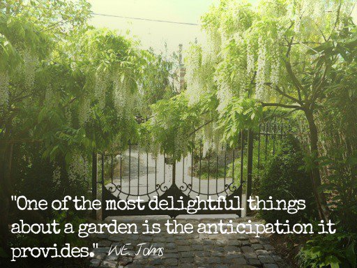 rainfordturf's tweet photo. Who agrees?
#gardening #Liverpool #farming #sthelens https://t.co/m1d4c85EAX