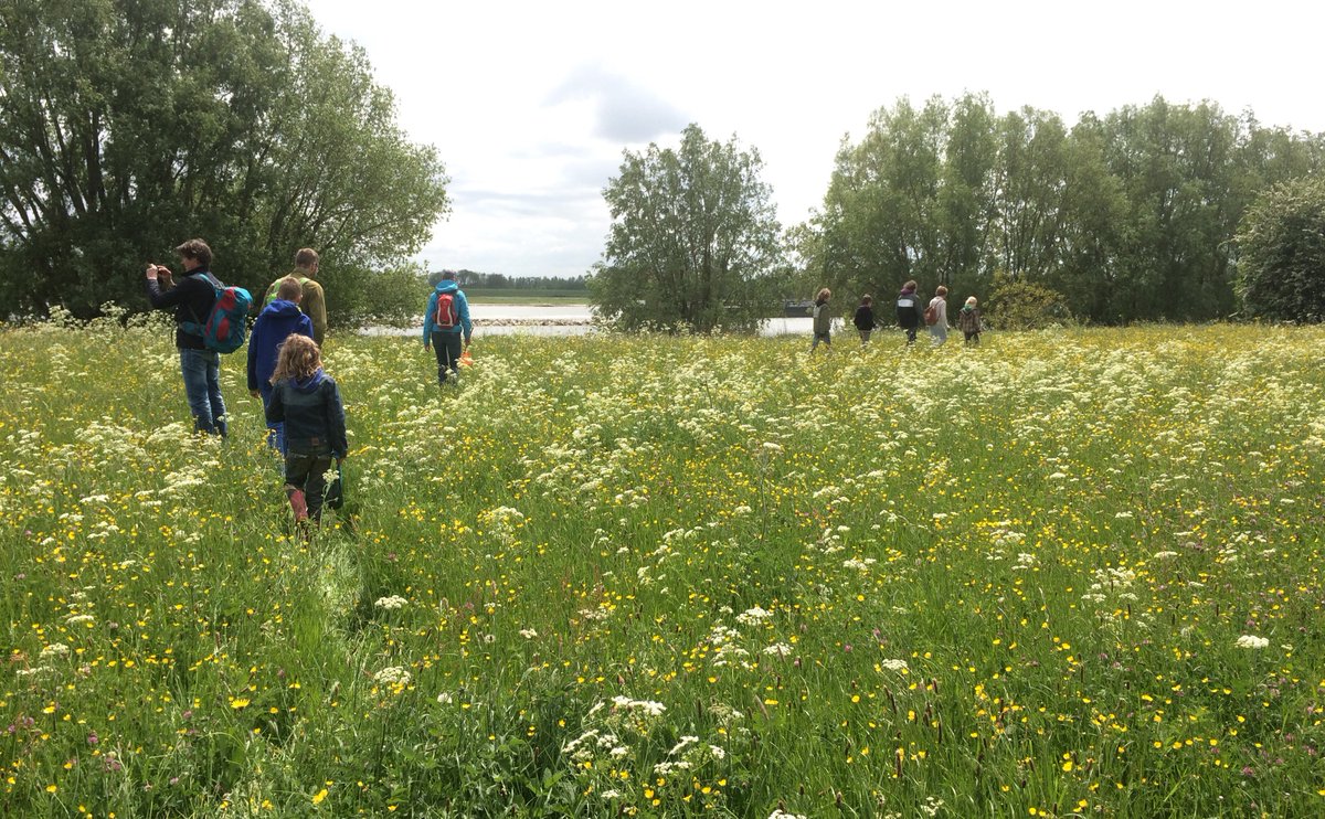 Struintocht voor Vrijheid 4 mei 
beeldvanoranjelinten.nl/struintocht-vr… <a href="/ZennewijnenTiel/">Camping Zennewijnen</a> @UitInTiel @kasteelophemert <a href="/4en5mei/">Comité 4 en 5 mei</a> <a href="/TourDeWaal/">Tour de Waal</a> @WaalWeelde #Waal