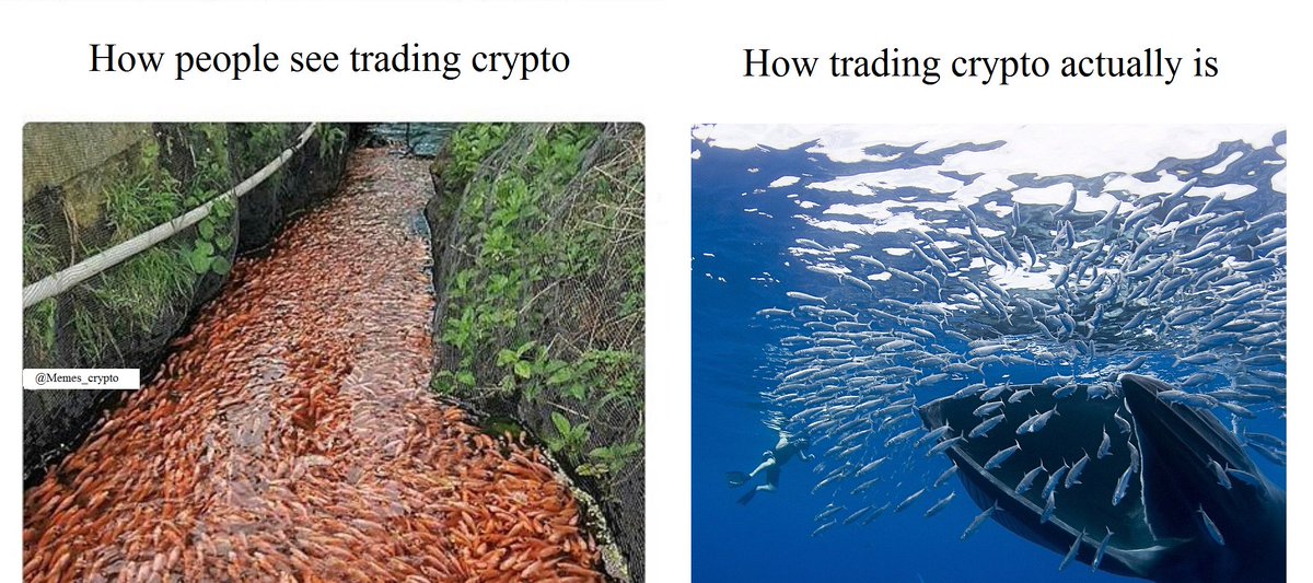 Memes_Crypto's tweet photo. https://t.co/o0V95ZFacU