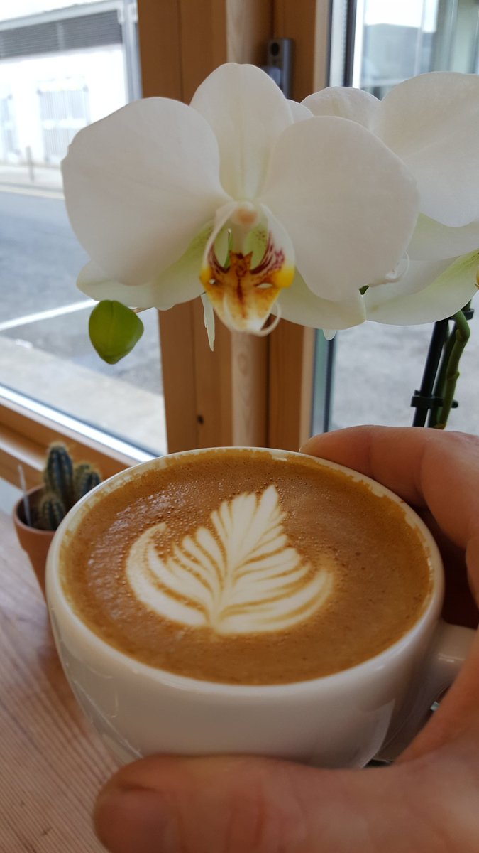 actonecoffee's tweet photo. Shop grown Orchids enjoying the Friday sun. Latumba  (Congo) in the cup. #coffee #FridayFeeling #Newbridge #ComeOnIn https://t.co/SQq0d5tSUo