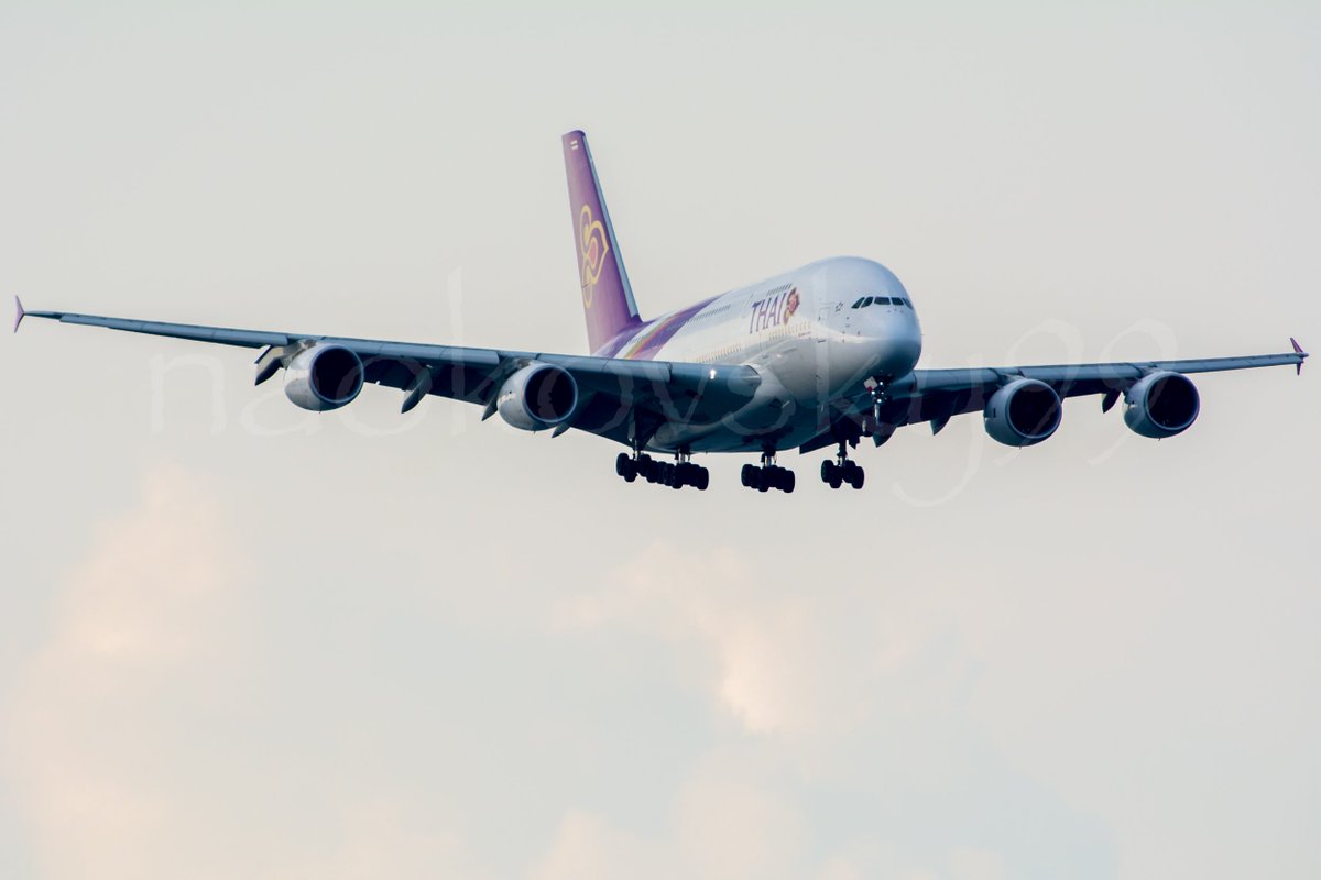 naokovsky99's tweet photo. March 24, 2017 #TG644 #TG645 #Centrair #セントレア #中部国際空港 #RJGG #ThaiAirways #タイ航空 #タイ国際航空 #春秋航空 #春航 #SpringAirlines #9C8602 #A380 #A320 #Airbus https://t.co/1ue7DL2wa1