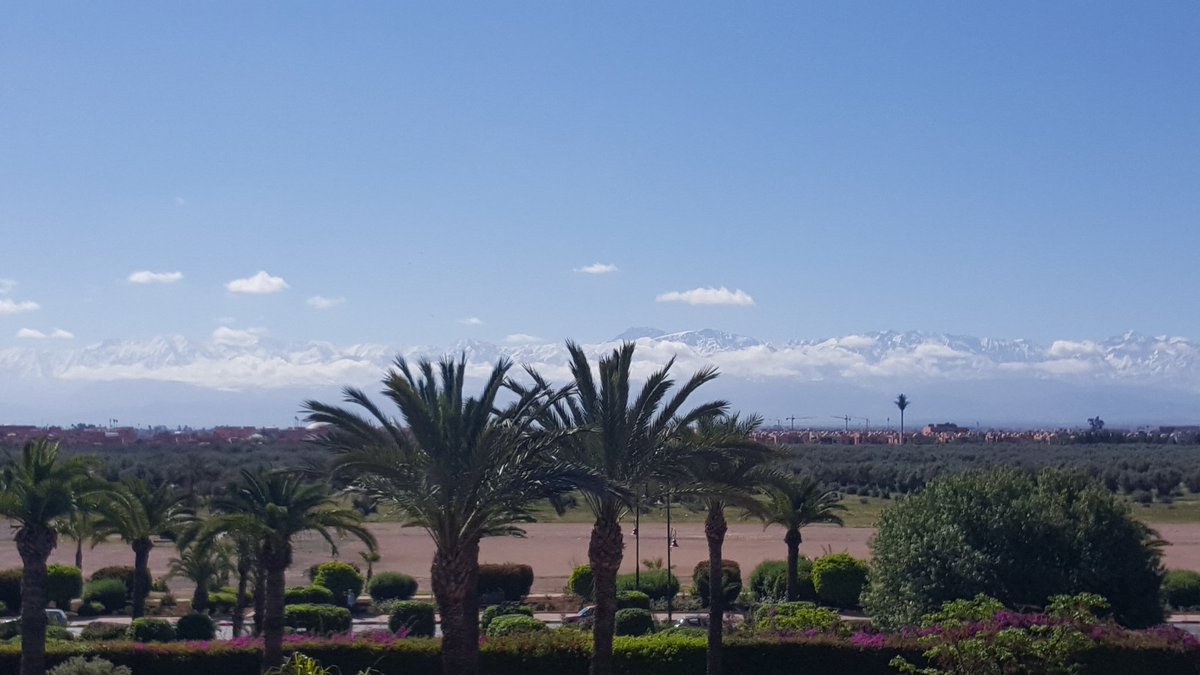 Lino Bacco (@linobacco) on Twitter photo Rien que pour vous cette carte postale #Marrakech A regarder sans modération <a href="/hichamelkhlifi/">Hicham El Khlifi</a> <a href="/RADIOMARSma/">RADIOMARS OFFICIEL</a> <a href="/BelaidPress/">belaid.press@gmail.c</a> Rien que pour vous cette carte postale #Marrakech A regarder sans modération <a href="/hichamelkhlifi/">Hicham El Khlifi</a> <a href="/RADIOMARSma/">RADIOMARS OFFICIEL</a> <a href="/BelaidPress/">belaid.press@gmail.c</a>