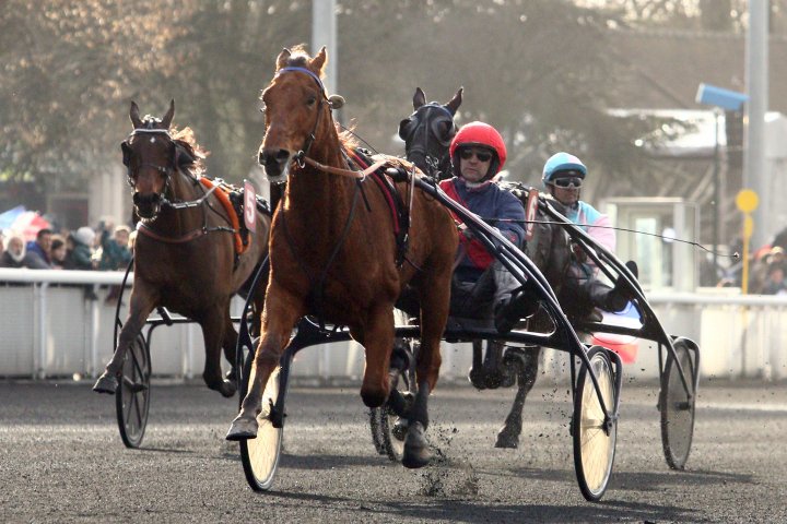 Iphrinta tweet media