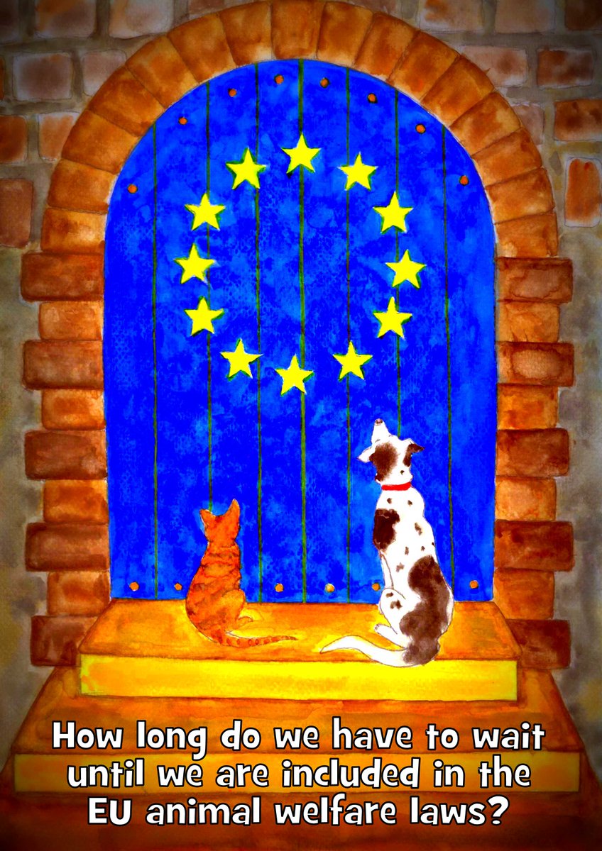 .<a href="/VeraJourova/">Věra Jourová</a> Animal Welfare laws must immediately be made for pets (including hunting dogs)! bit.ly/1A1Wjge #DiaDelGalgo #Galgos #Podencos