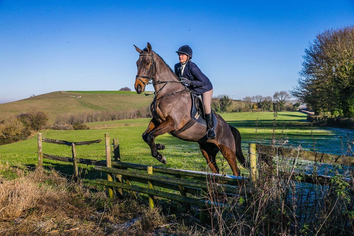 SWaughRacing's tweet photo. Absolutely Barking 17 years young, a blast from the past when he was here as a pointer @RoRlatest #goldenoldie #GoPointing #stilljumping https://t.co/TxpGAZyI1e